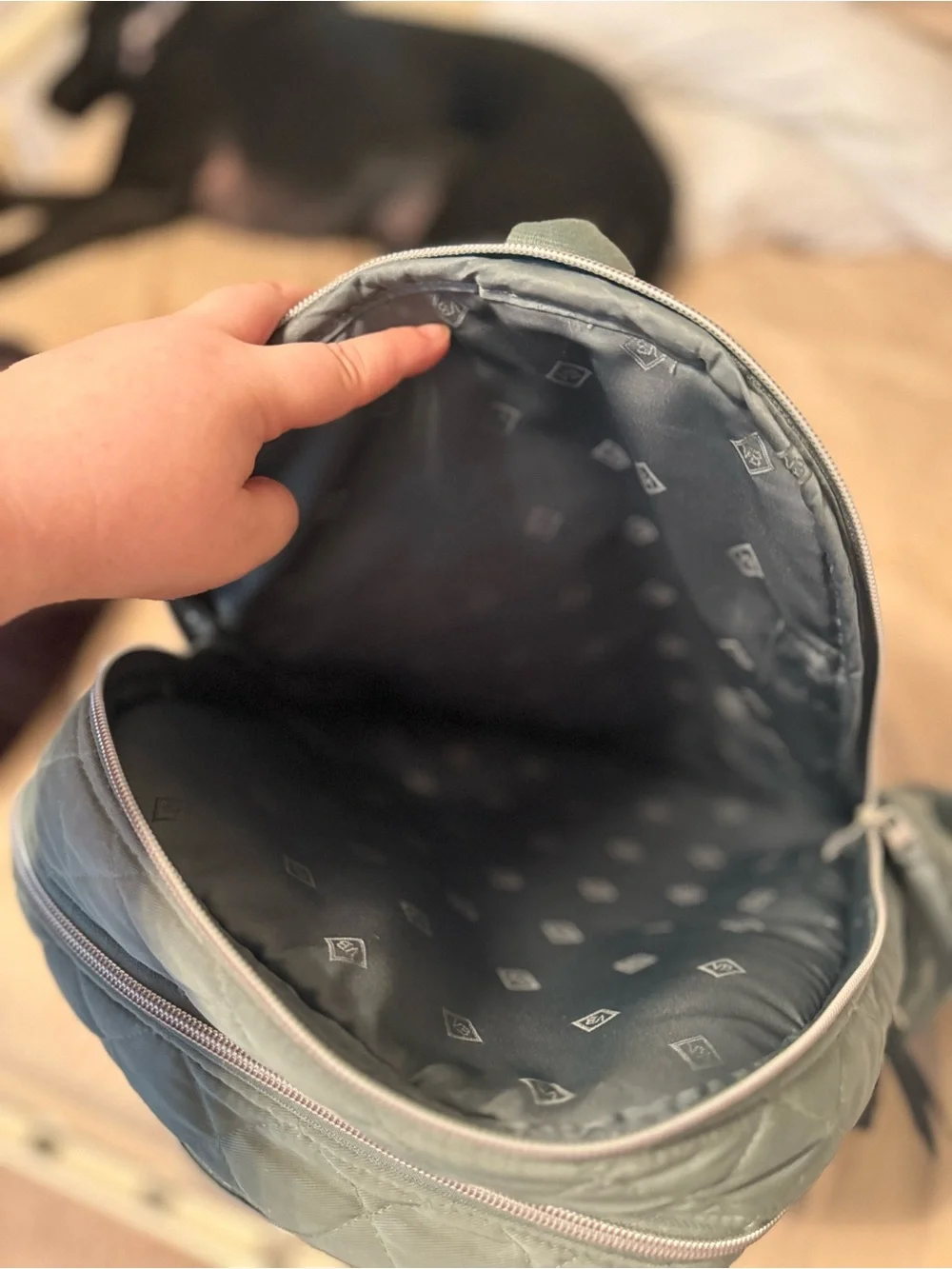 Vera Bradley Quilted Sage Green Backpack